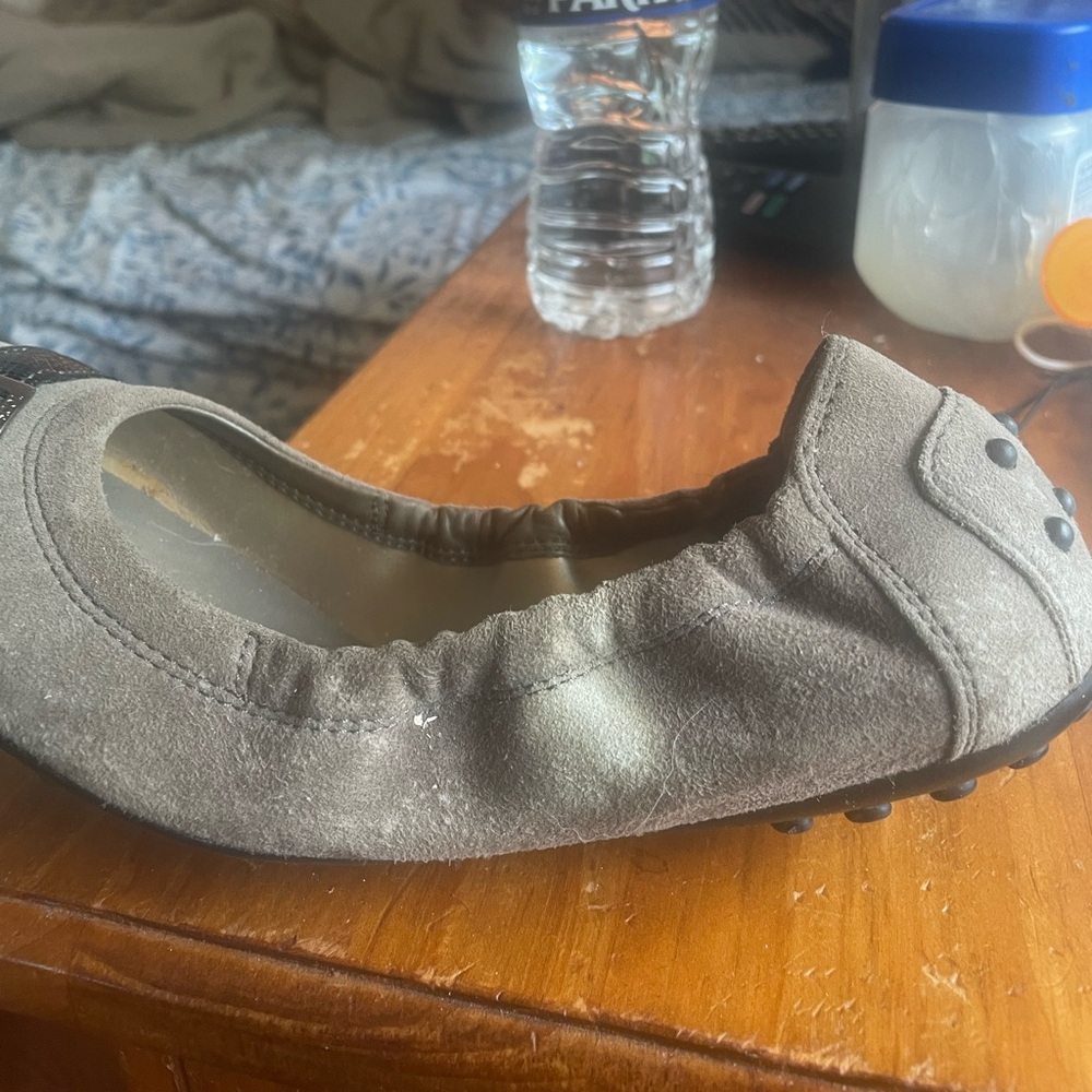 Tods shoes suede